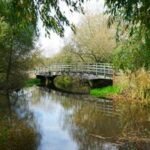 Scenic view of a wooden footbridge over a tranquil stream in Salisbury, England.