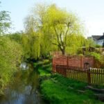 Serene spring landscape with stream, wooden fence, and lush greenery in the UK.