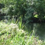 river ivel